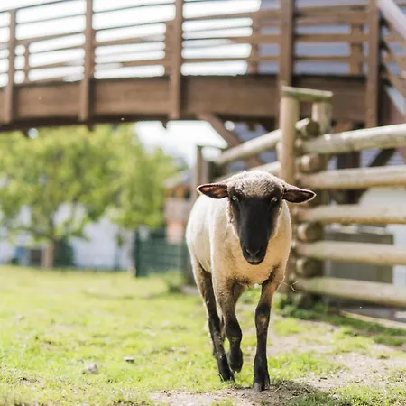 Hof Köhne - Feldscheune Rechts *