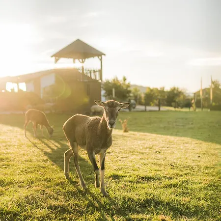 Hof Köhne - Feldscheune Rechts *