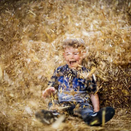 Hof Köhne - Feldscheune Rechts Ferienhaus Schmallenberg