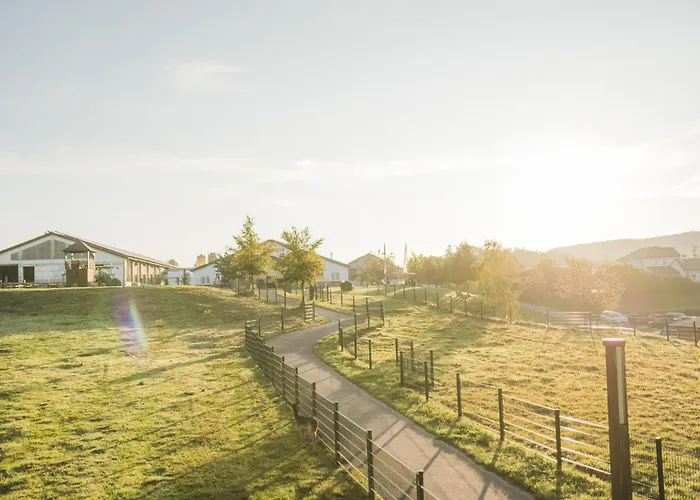 Vakantiehuis Hof Koehne - Feldscheune Rechts Schmallenberg