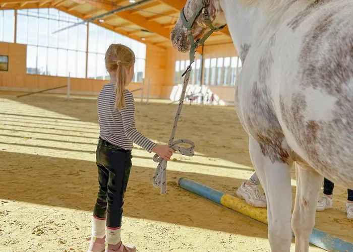 Vakantiehuis Hof Koehne - Feldscheune Rechts Schmallenberg